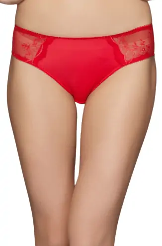 Buy CLOVIA Red Womens Lace Full Coverage Bra and Bikini Briefs Set
